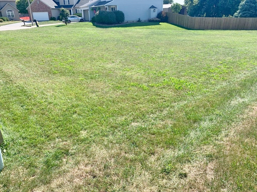 1707 Setter Street Property Photo 5