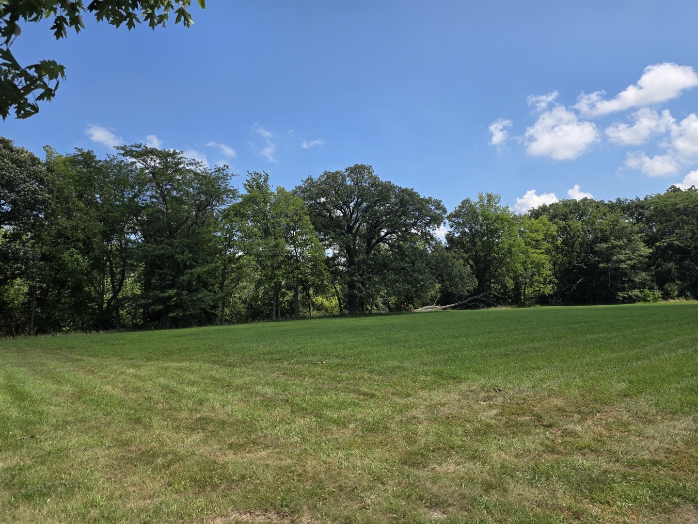 1635 Mockingbird Lane Property Photo 1