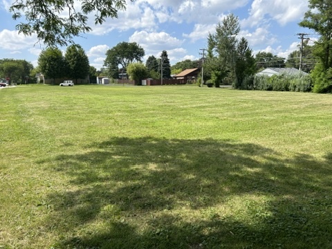 12443792 Property Photo 5
