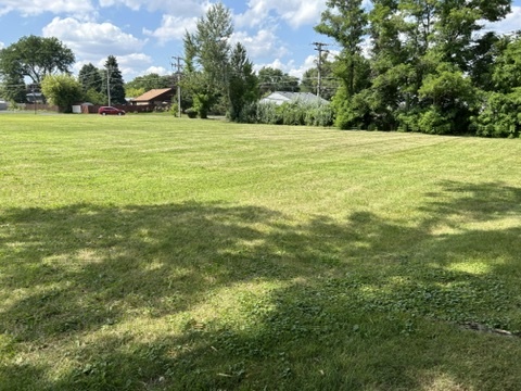 12443792 Property Photo 6