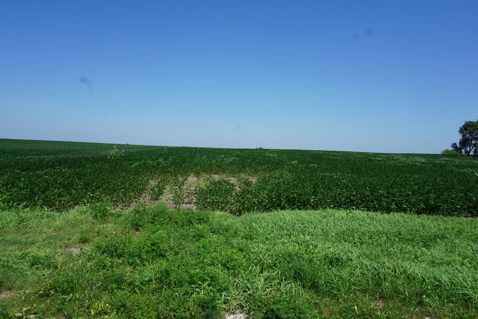 12446304 Property Photo 1