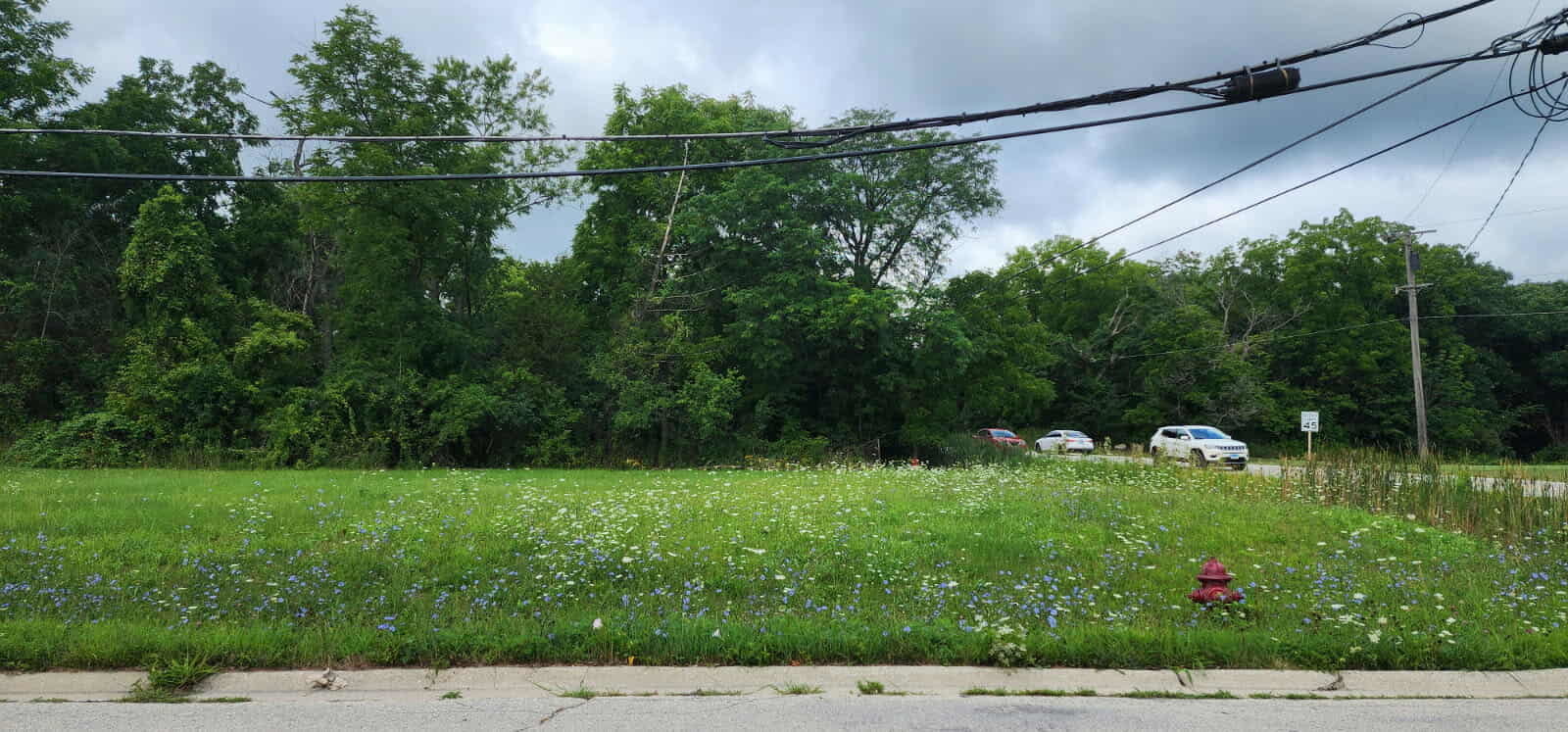 1273 W Dundee Road Property Photo 1