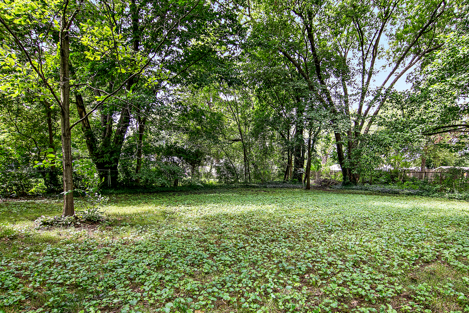 22 Erin Lane Property Photo 37