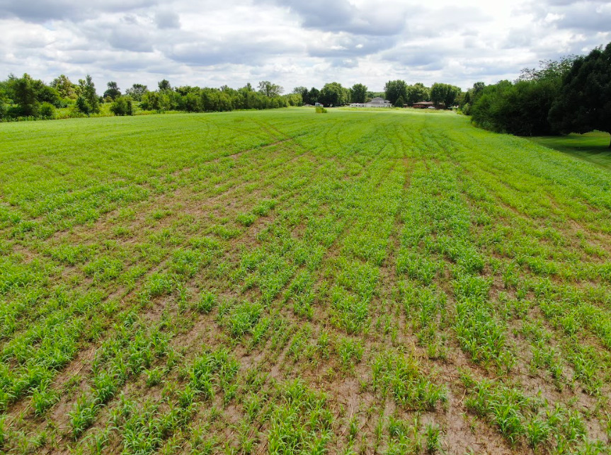 0 Lake View Drive Property Photo 11