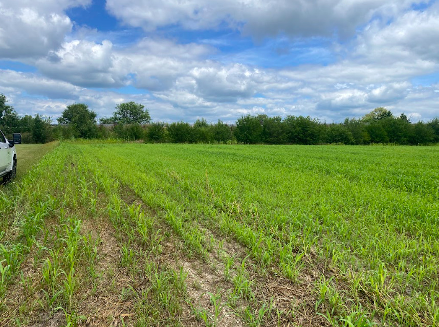 0 Lake View Drive Property Photo 13