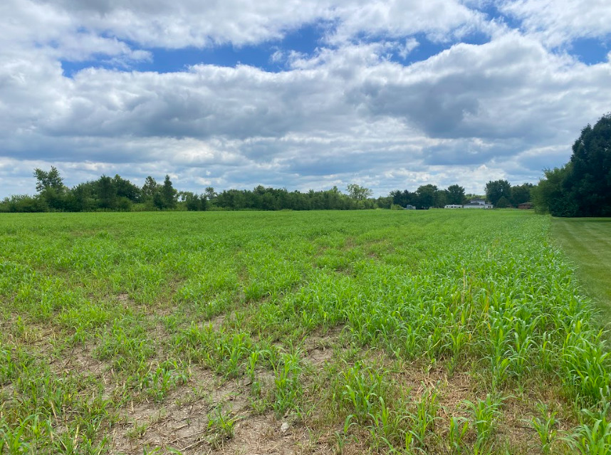 0 Lake View Drive Property Photo 14