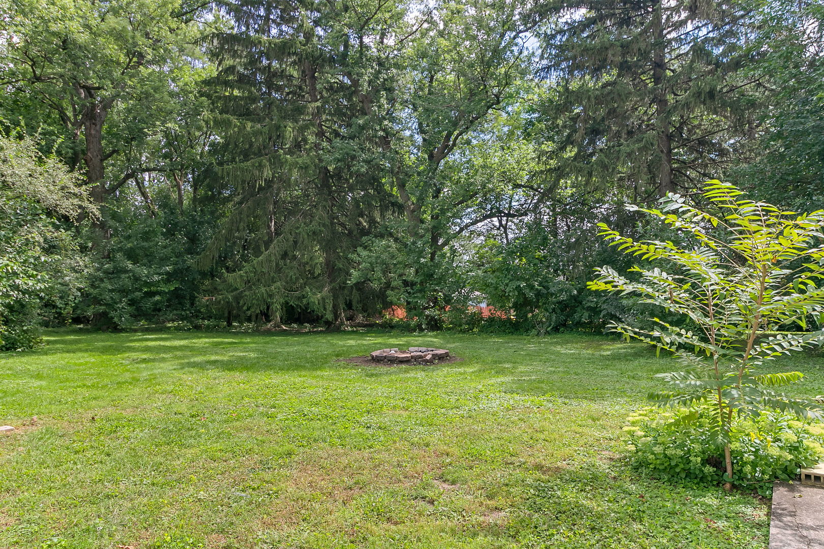 6295 Woodward Avenue Property Photo 4