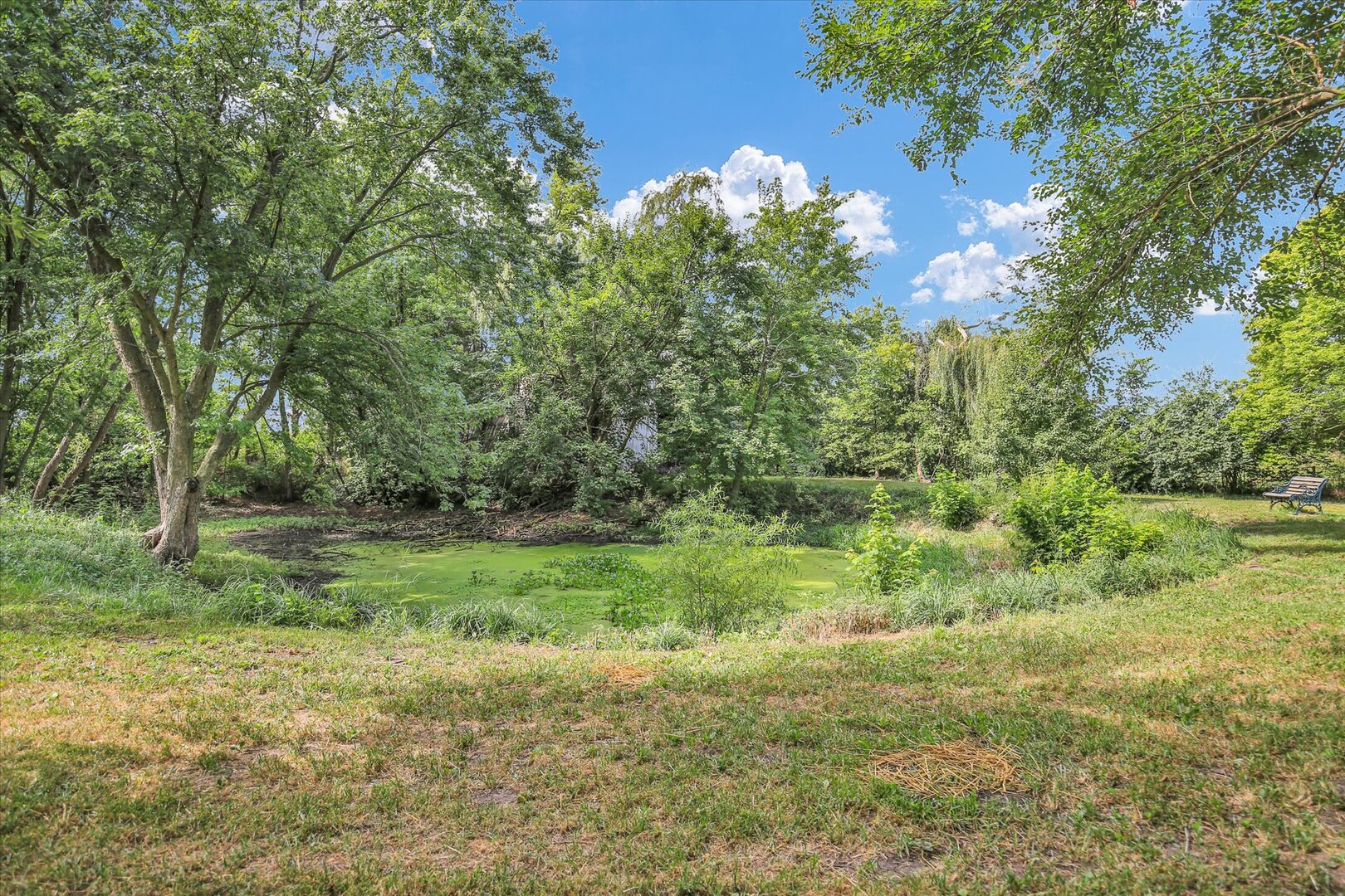 2303 County Road 1100 E Property Photo 43