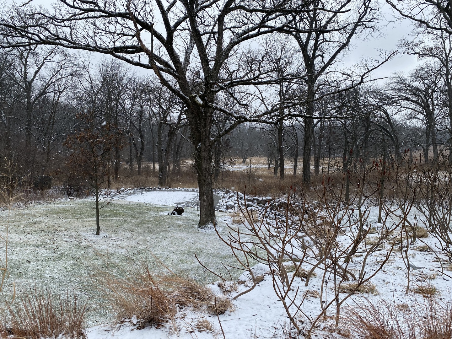 1551 W Longwood Drive Property Photo 6