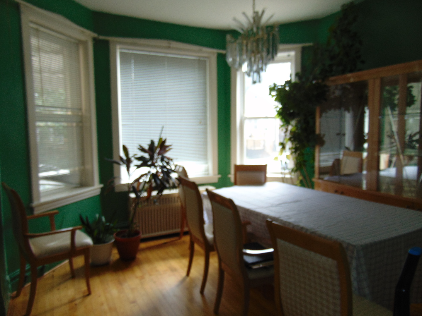 2848-50 N Ridgeway Avenue Property Photo 7