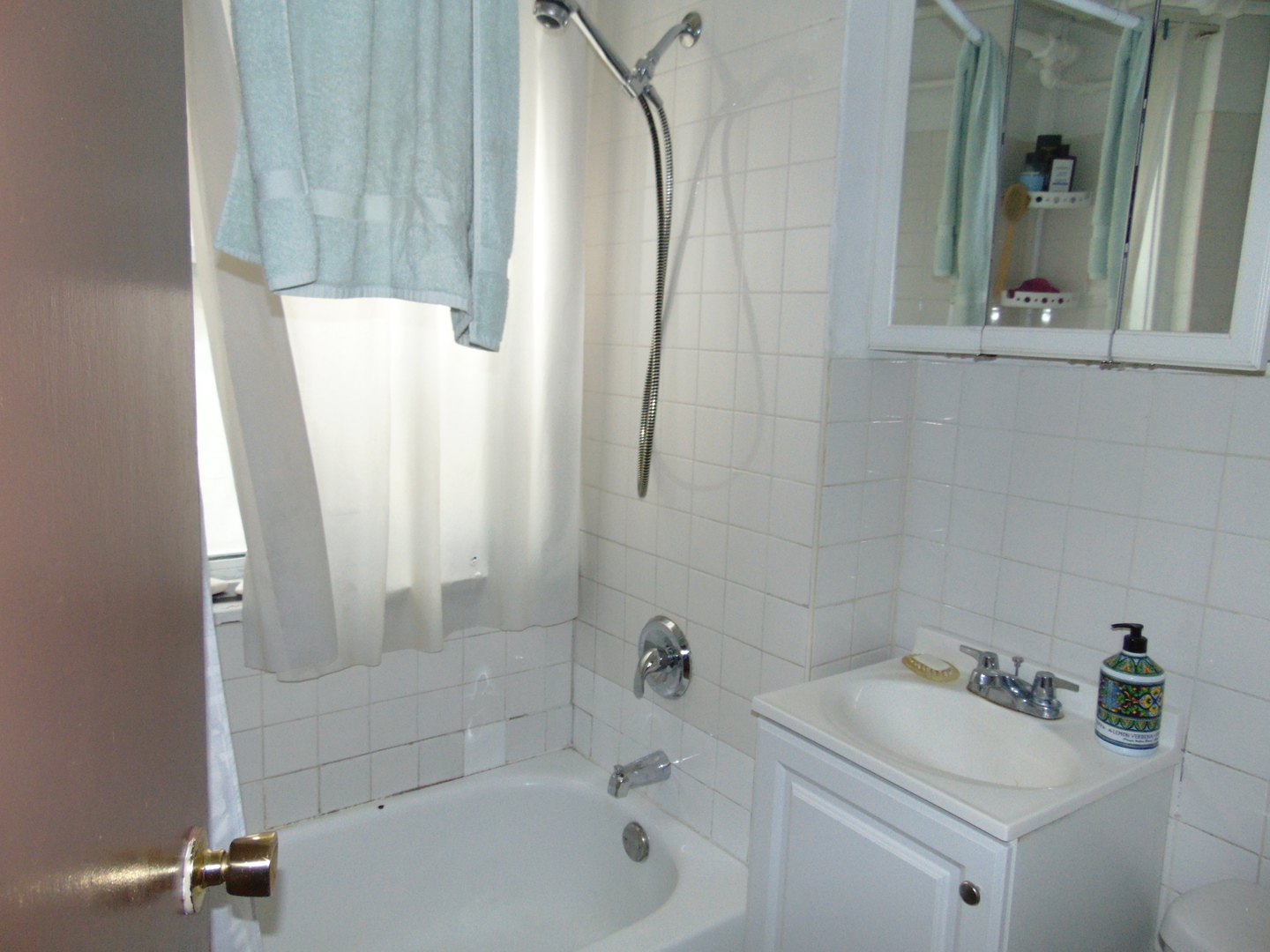 2848-50 N Ridgeway Avenue Property Photo 10