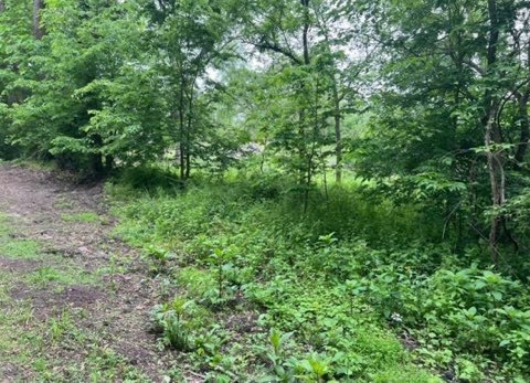 Lot 9-13 S Hickory Avenue Property Photo 2
