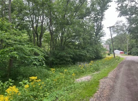 Lot 9-13 S Hickory Avenue Property Photo 3