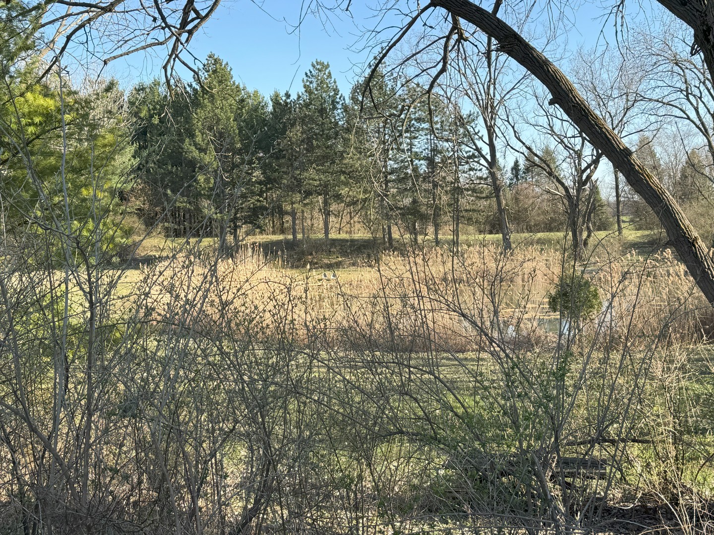 17n753 Widmayer Road Property Photo 27