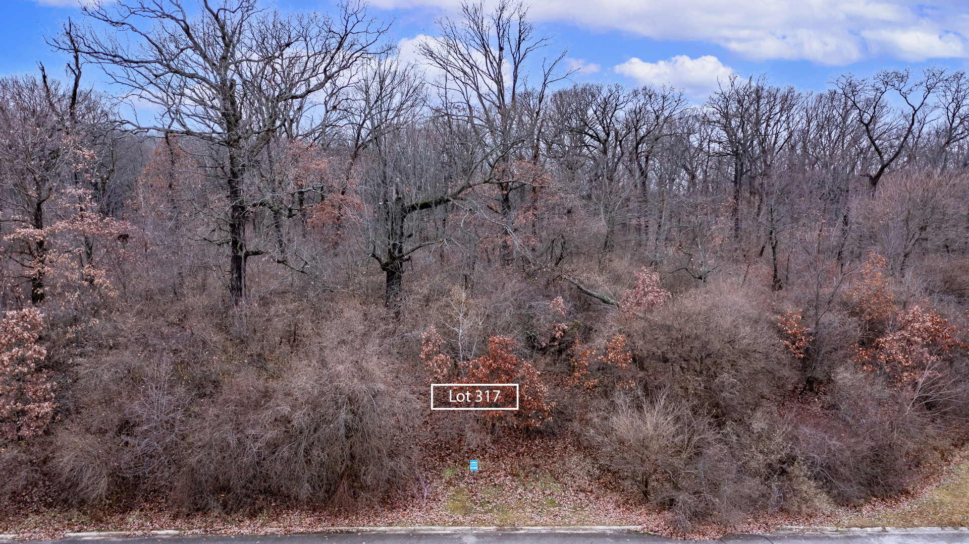 9325 Doubletree Drive Property Photo 8