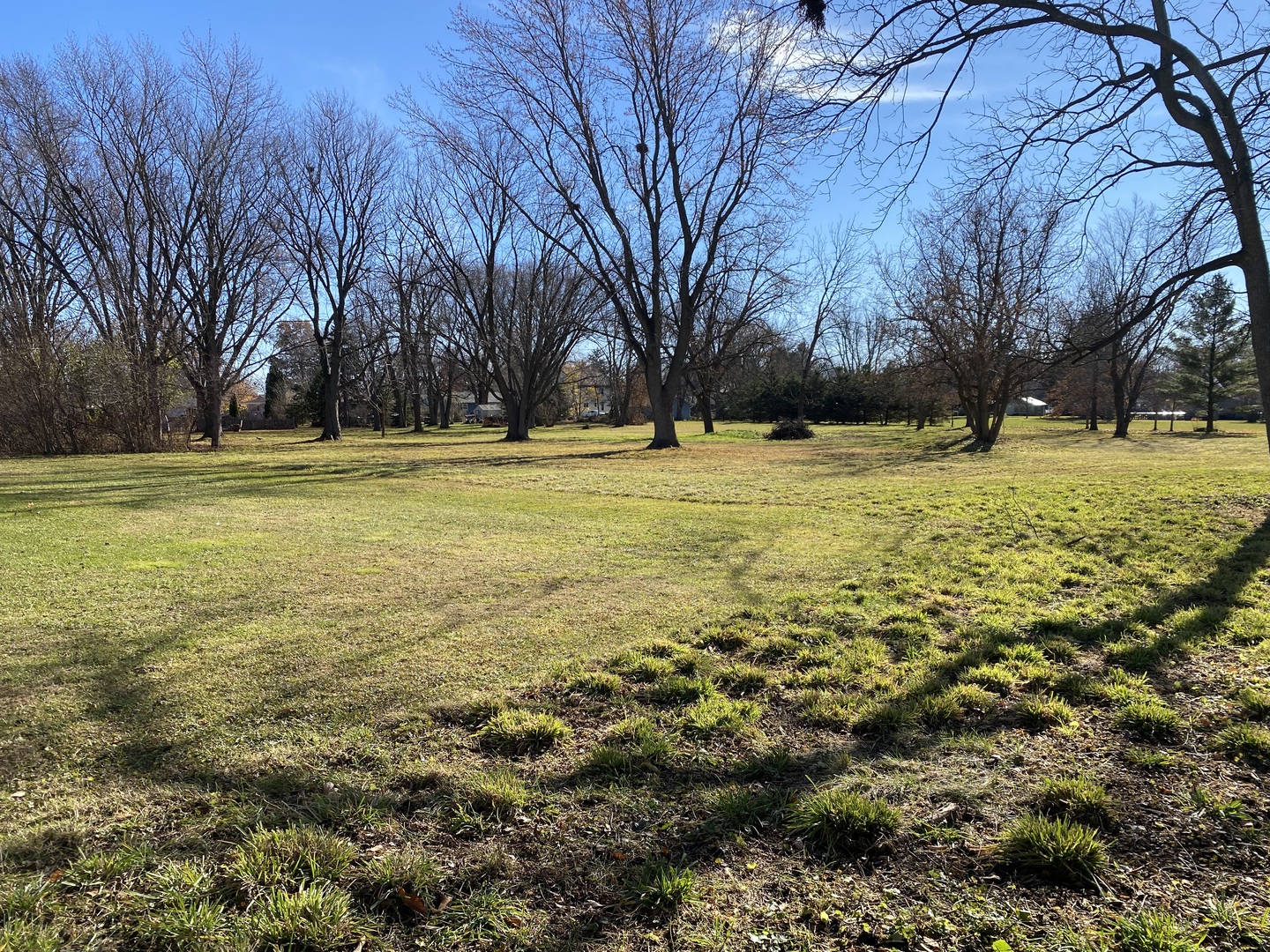 Lot 1 Church Street Property Photo 1