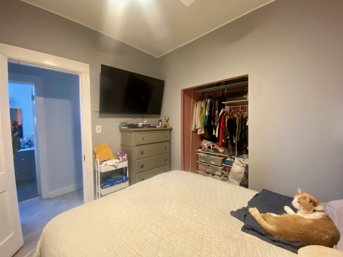 3143 W Augusta Boulevard Property Photo 12