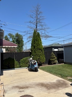 6541 S Artesian Avenue Property Photo 24