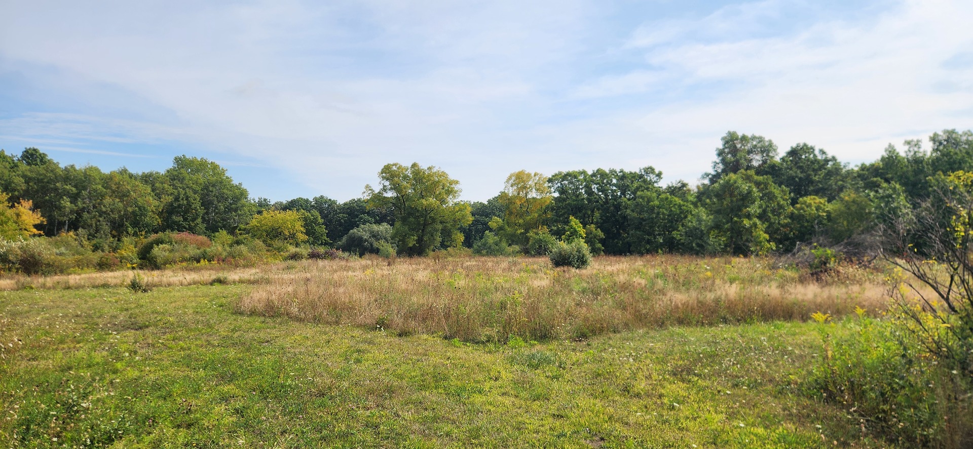 42751 N Sheridan Oaks Drive Property Photo 1