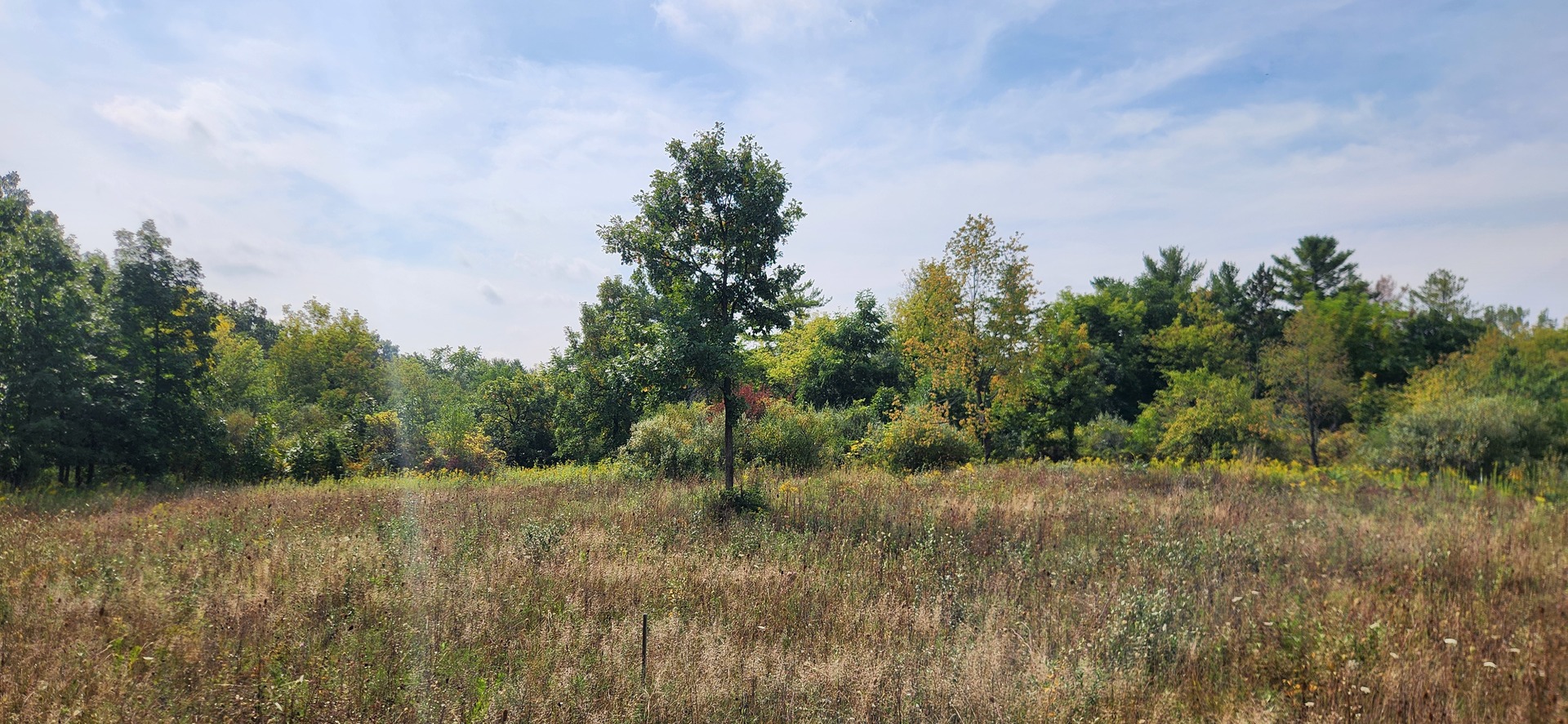 42751 N Sheridan Oaks Drive Property Photo 11