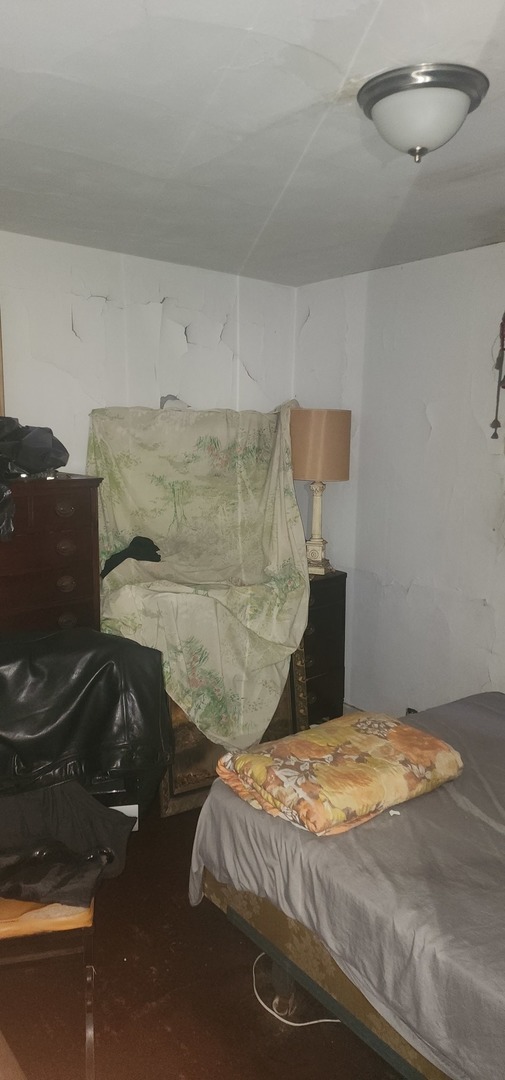 1059 E 80th Street Property Photo 16