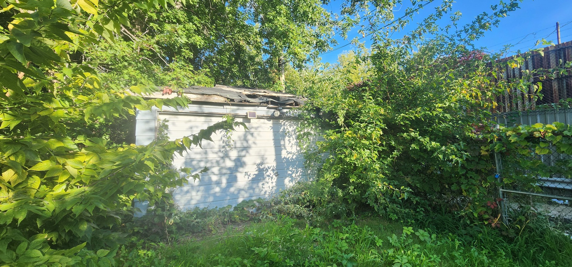 1059 E 80th Street Property Photo 33