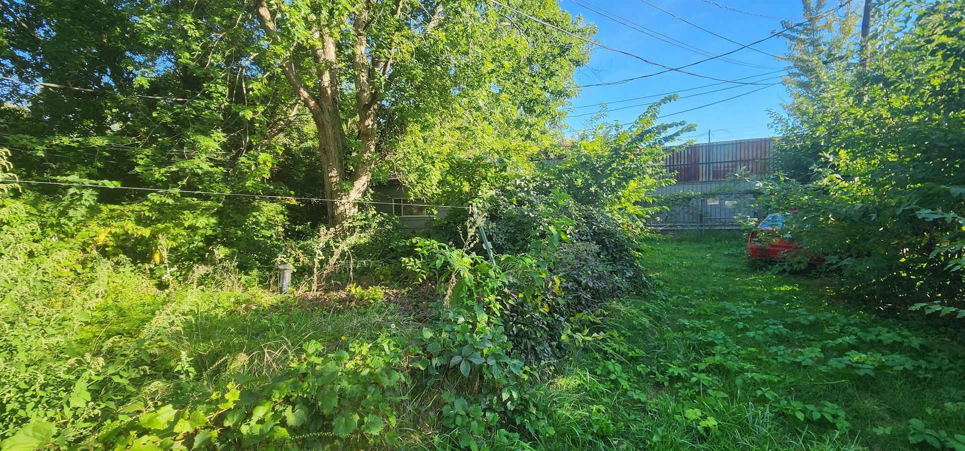 1059 E 80th Street Property Photo 35