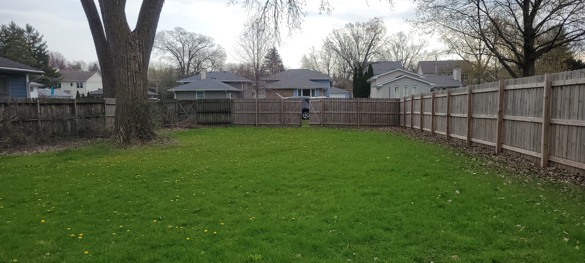 27 Wilbur Avenue Property Photo 6