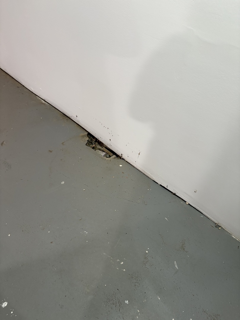 5919 S Rockwell Street Property Photo 36