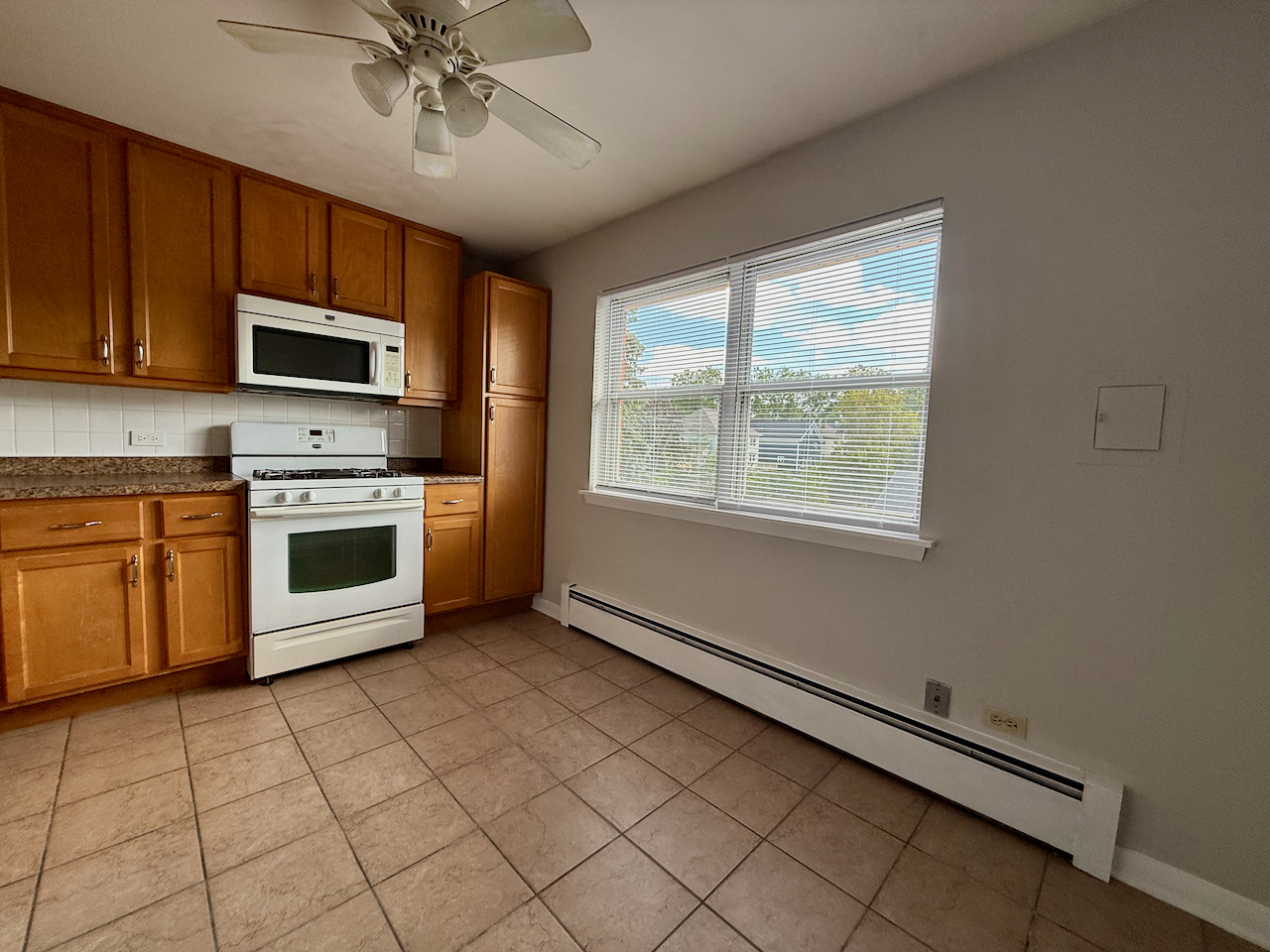 317 S Plum Grove Road 5 Property Photo 5