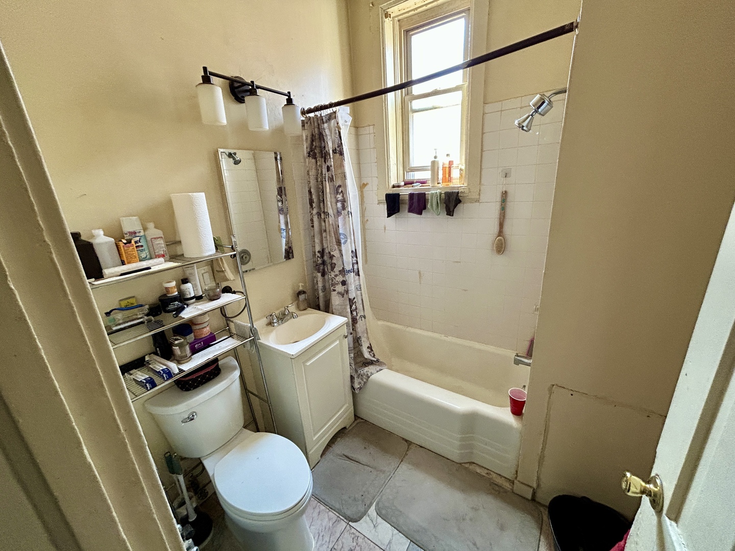 735 E 88th Street Property Photo 15