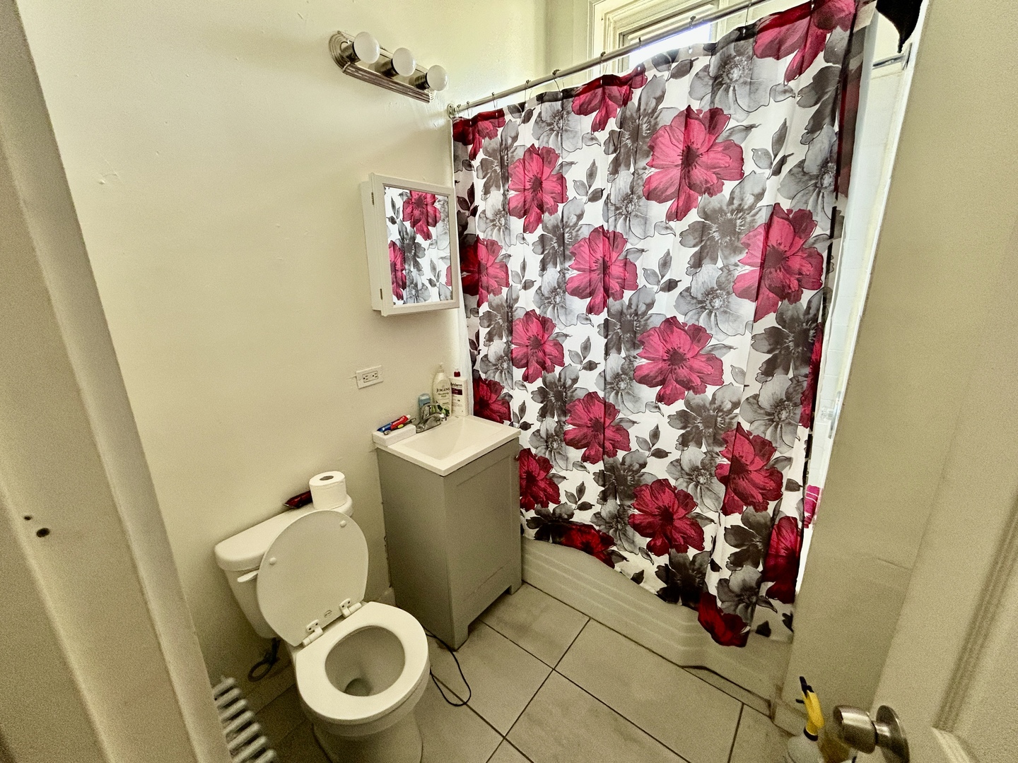 735 E 88th Street Property Photo 18