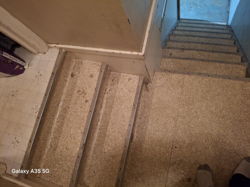 304 Maple Avenue Property Photo 4