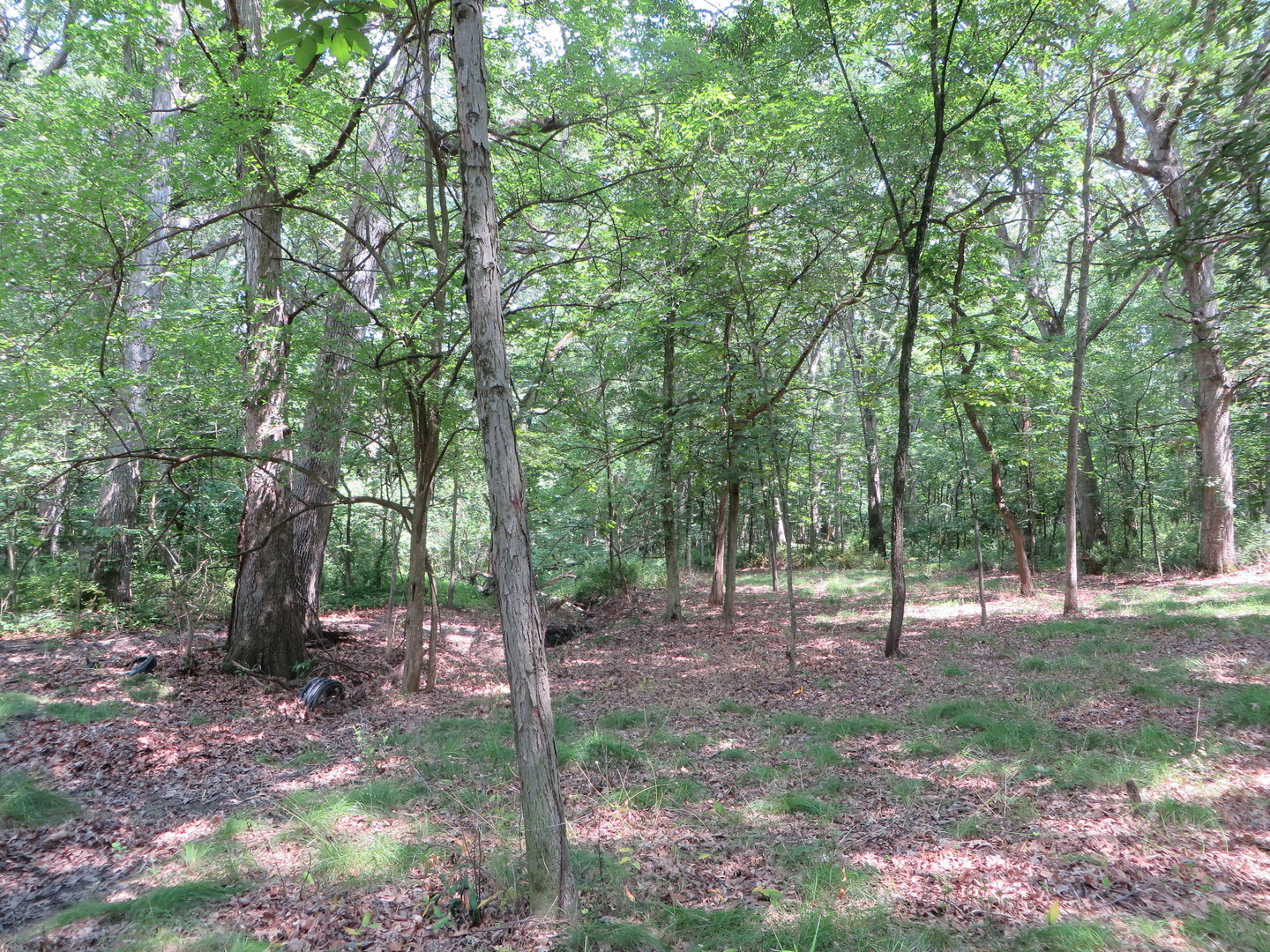 Six Mile Grove Sub 04-31-14e Property Photo 1
