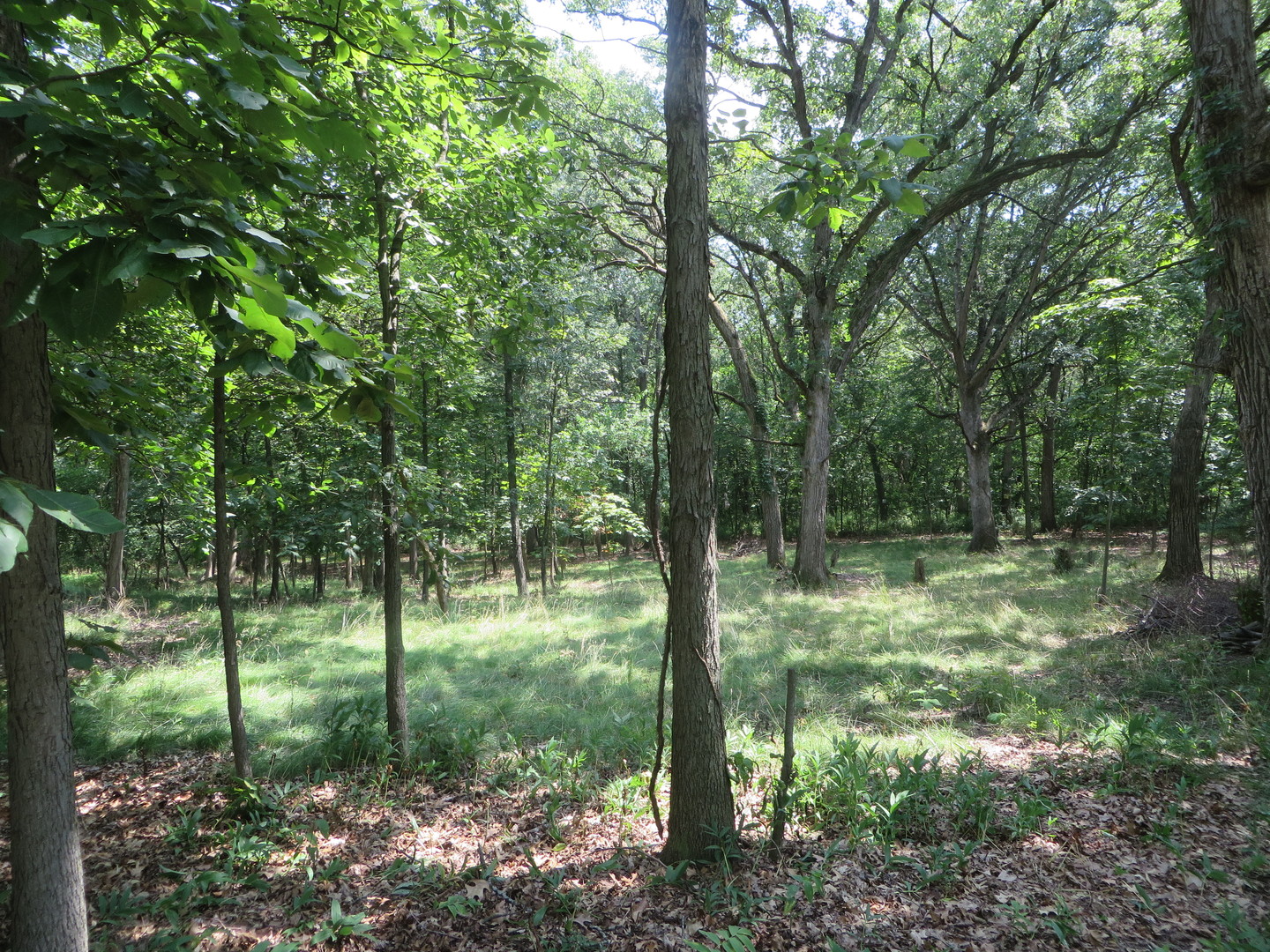 Six Mile Grove Sub 04-31-14e Property Photo 3