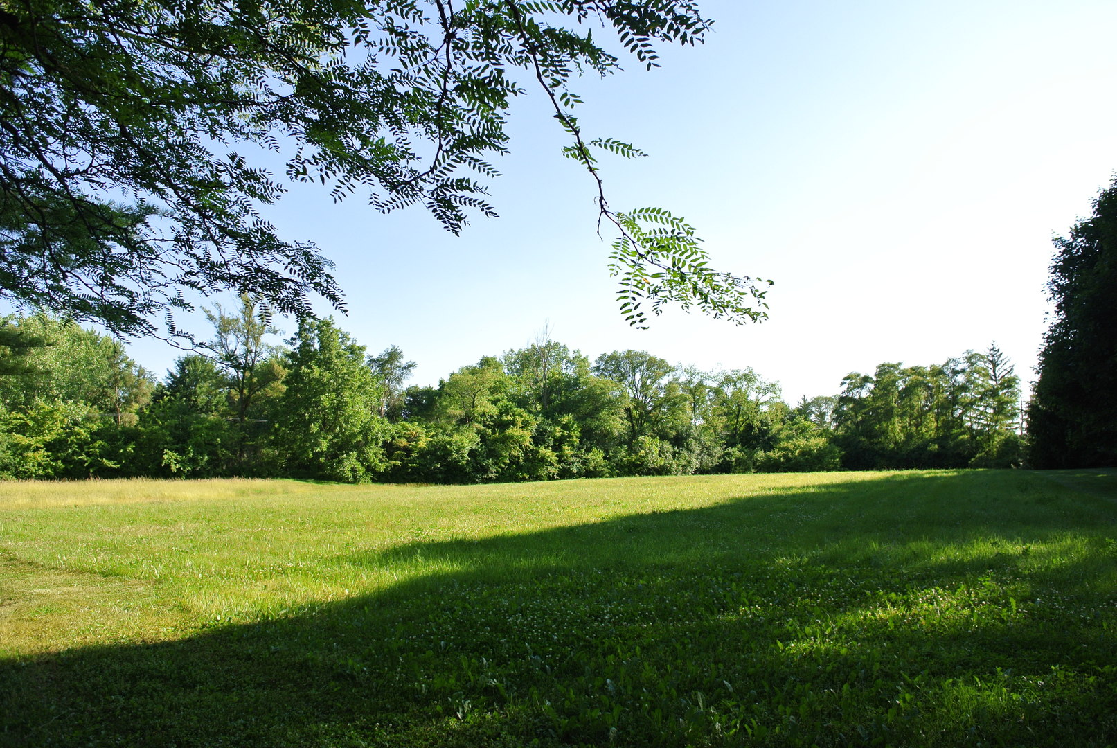 40 S Polo Drive Property Photo 1