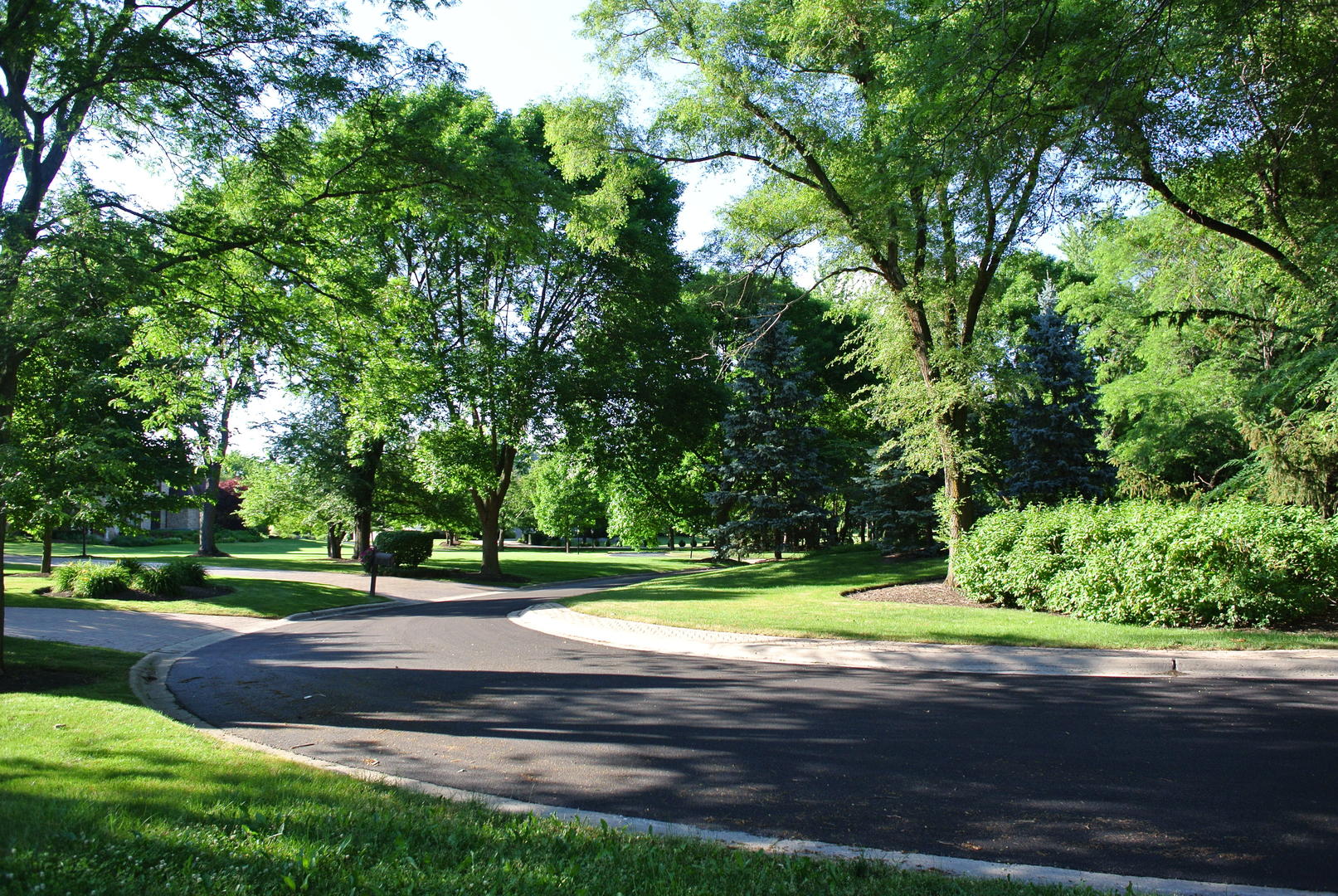 40 S Polo Drive Property Photo 4
