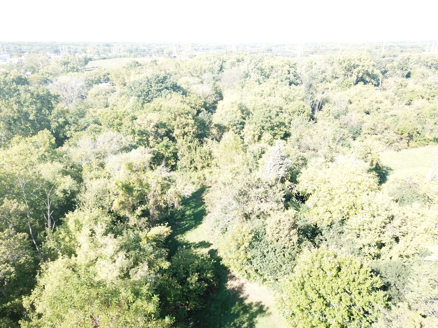 1504 W Glen Flora Avenue Property Photo 6