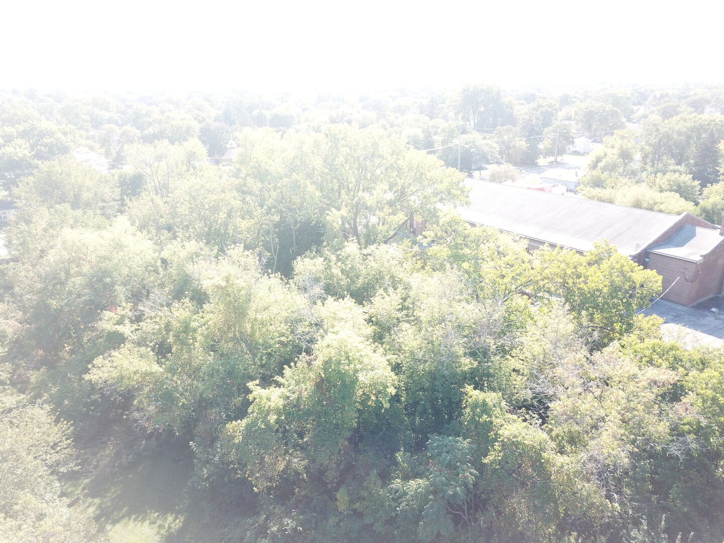 1504 W Glen Flora Avenue Property Photo 7