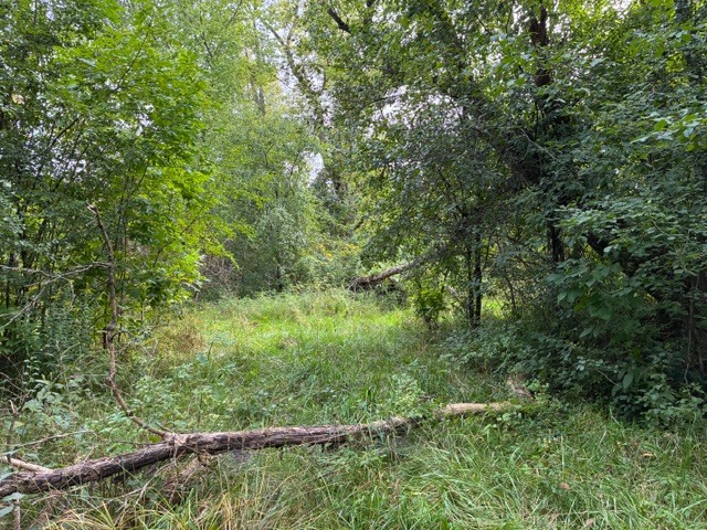 1504 W Glen Flora Avenue Property Photo 4