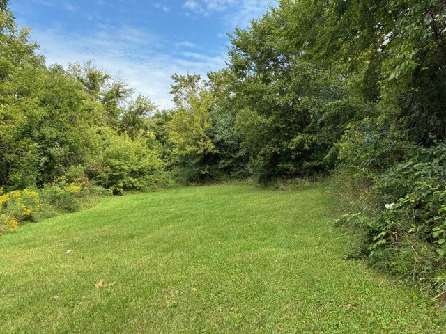 1504 W Glen Flora Avenue Property Photo 5