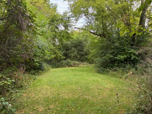 1504 W Glen Flora Avenue Property Photo 6