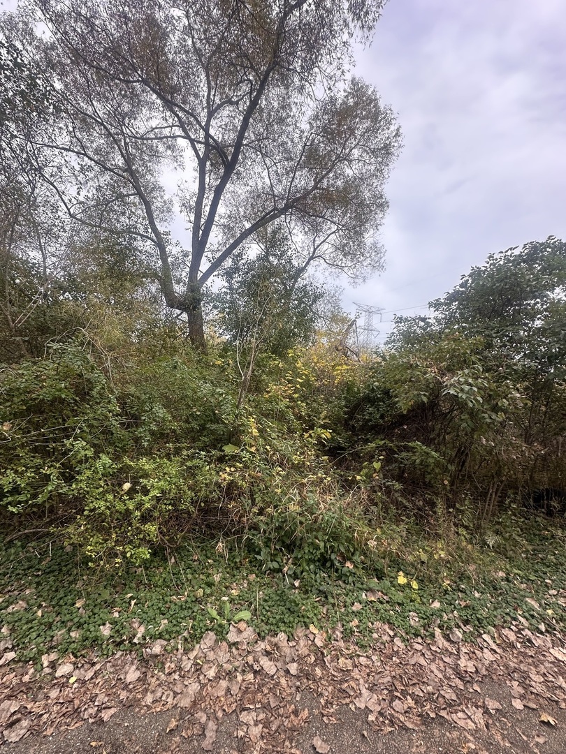 0 Endwood Drive Property Photo 6