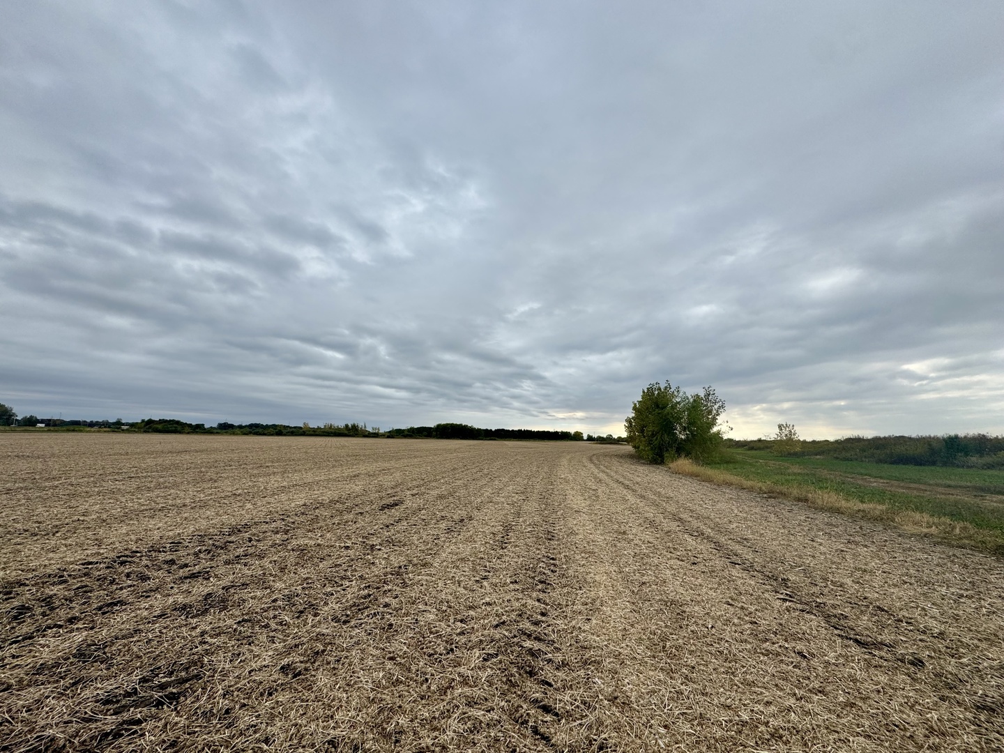 72 Acres Property Photo 15