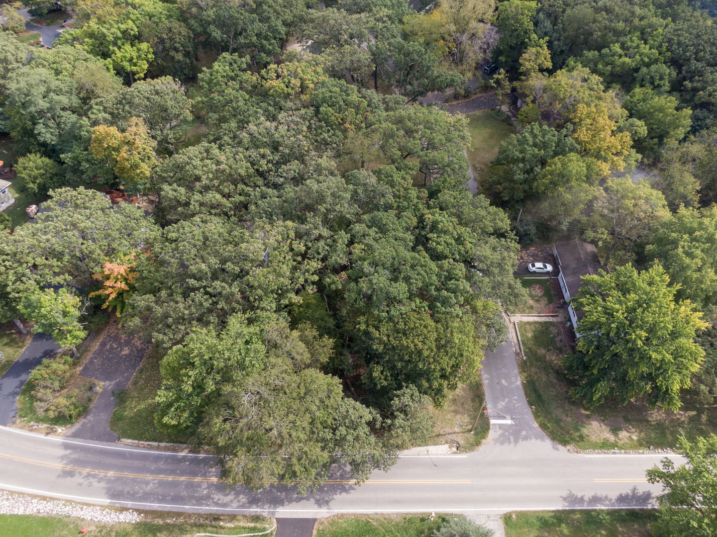 Lot 8 Elmwood Drive Property Photo 3