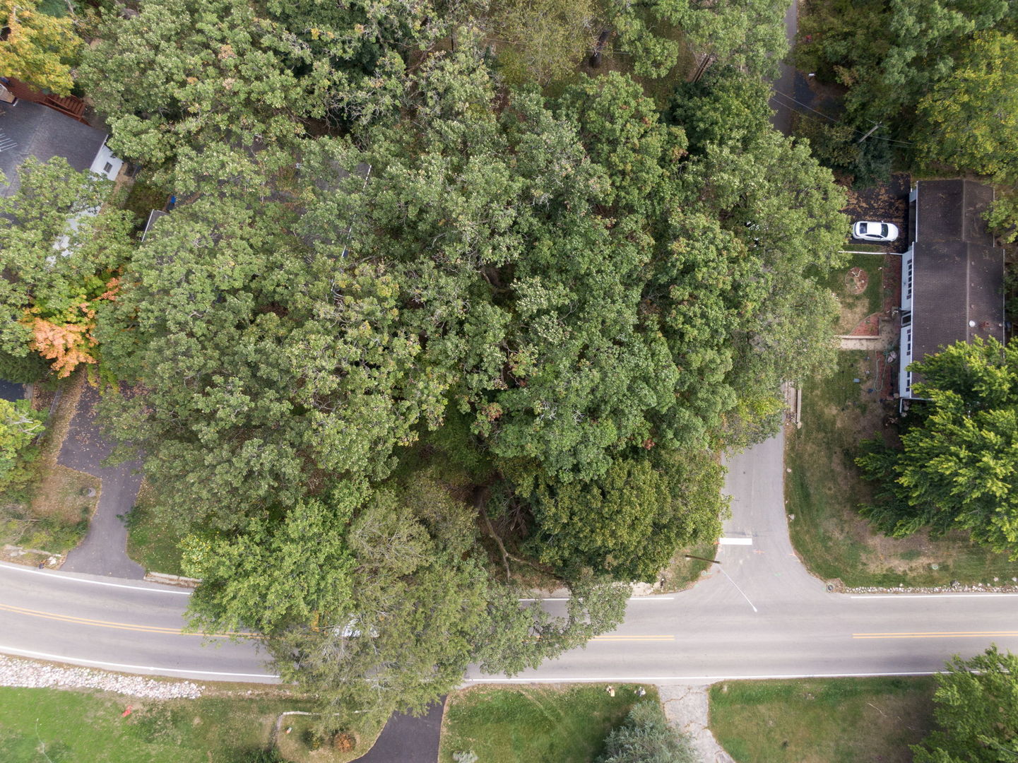 Lot 8 Elmwood Drive Property Photo 4