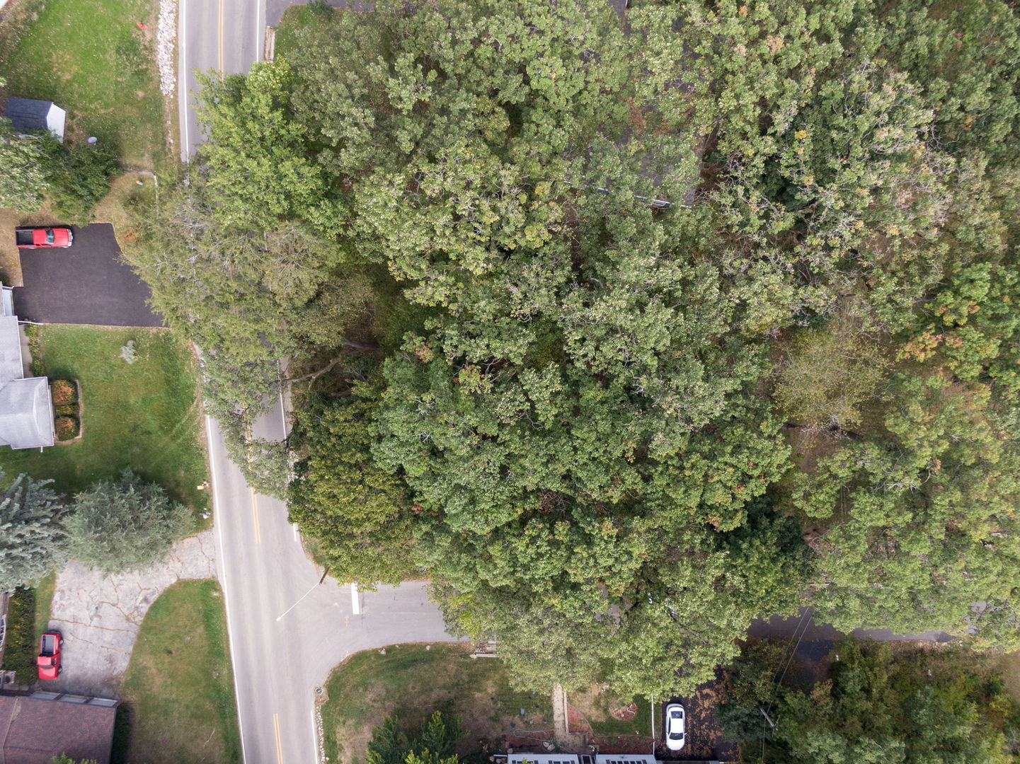 Lot 8 Elmwood Drive Property Photo 5