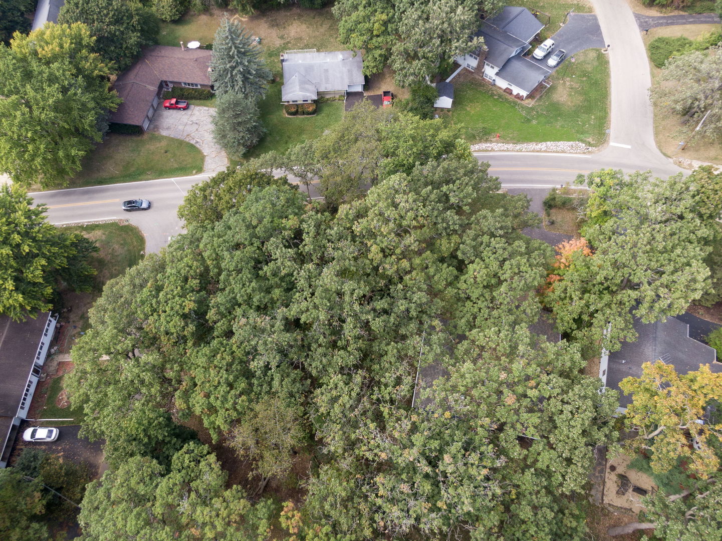 Lot 8 Elmwood Drive Property Photo 6