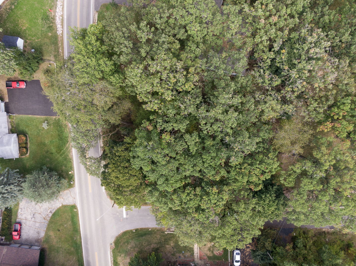 Lot 8 Elmwood Drive Property Photo 7