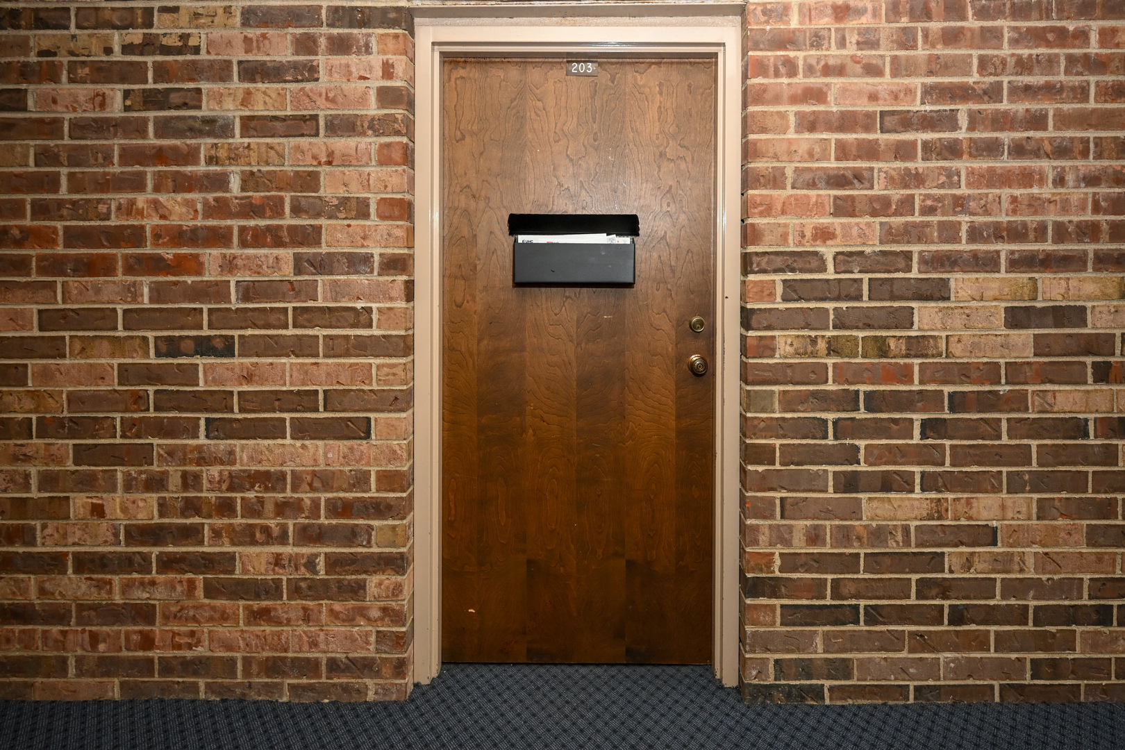 12494801 Property Photo 13